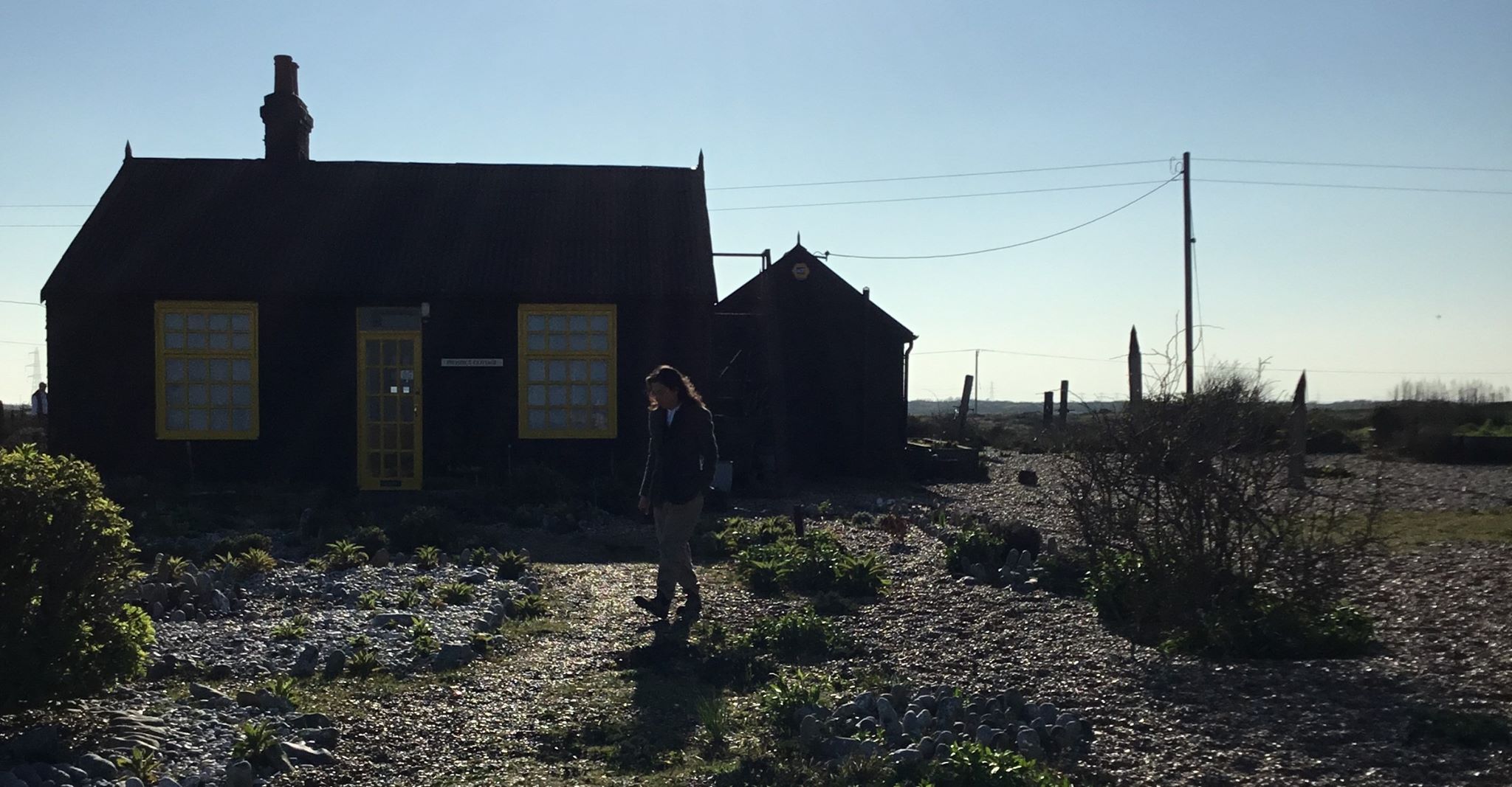 Alessandra Novaga<br>I Should Have Been a Gardener