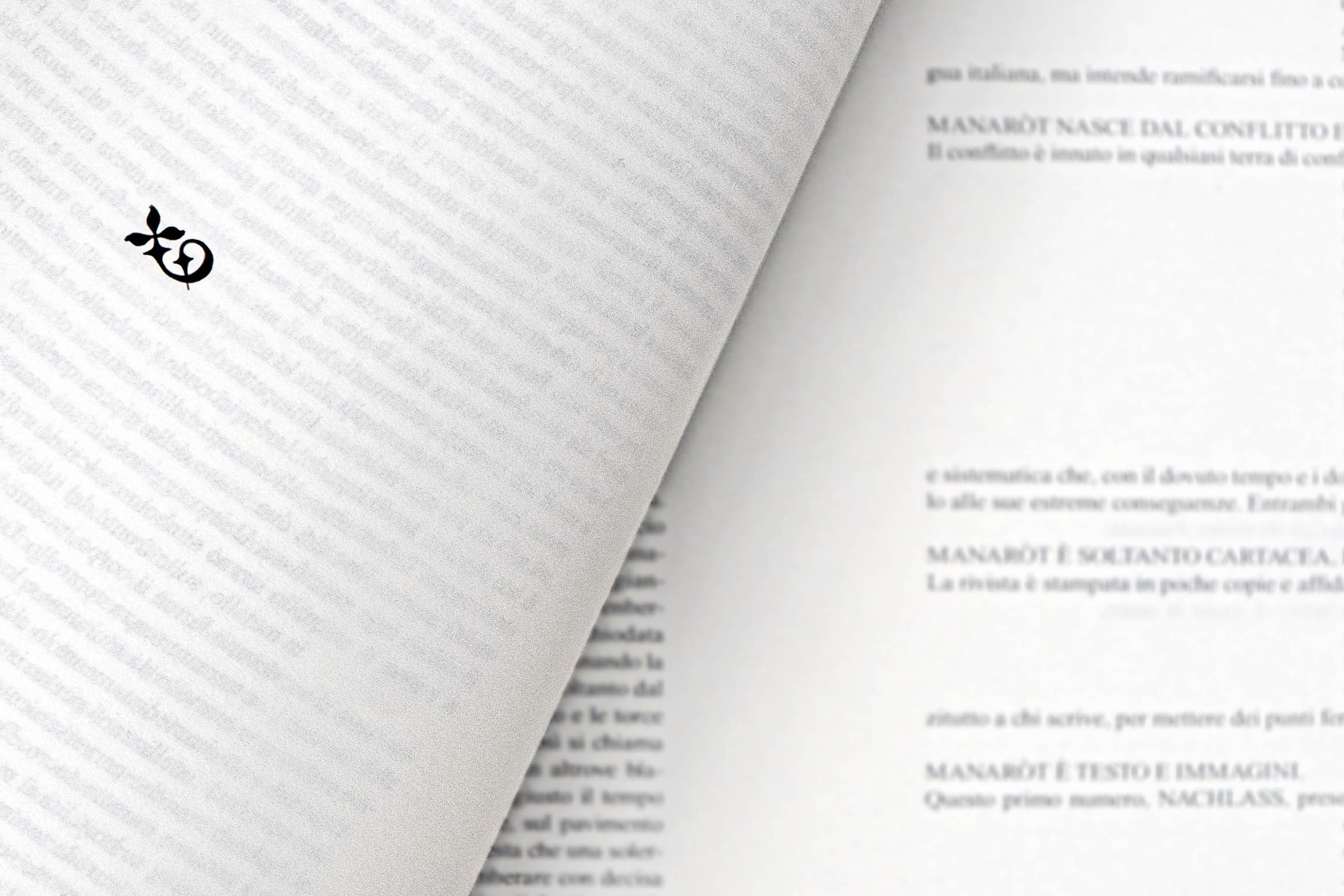 04_Dettaglio_glifo